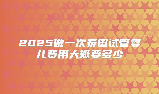 2025做一次泰国试管婴儿费用大概要多少