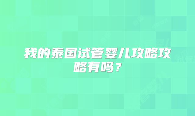 我的泰国试管婴儿攻略攻略有吗？
