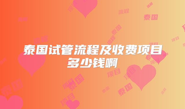 泰国试管流程及收费项目多少钱啊