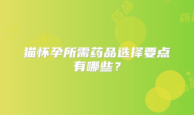 猫怀孕所需药品选择要点有哪些？