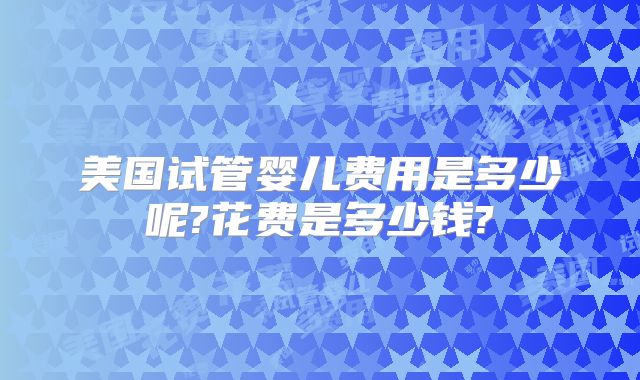 美国试管婴儿费用是多少呢?花费是多少钱?
