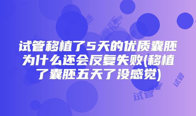 试管移植了5天的优质囊胚为什么还会反复失败(移植了囊胚五天了没感觉)