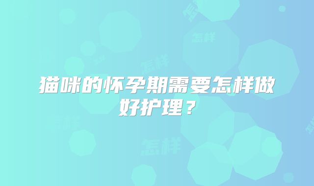 猫咪的怀孕期需要怎样做好护理？