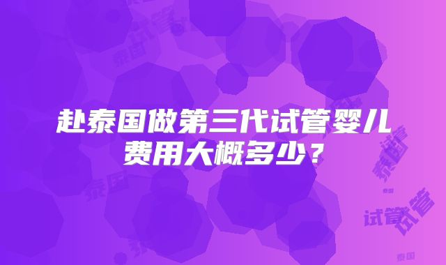 赴泰国做第三代试管婴儿费用大概多少？