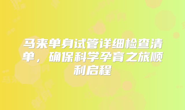 马来单身试管详细检查清单，确保科学孕育之旅顺利启程