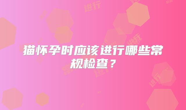 猫怀孕时应该进行哪些常规检查？