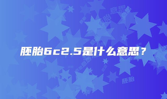 胚胎6c2.5是什么意思?