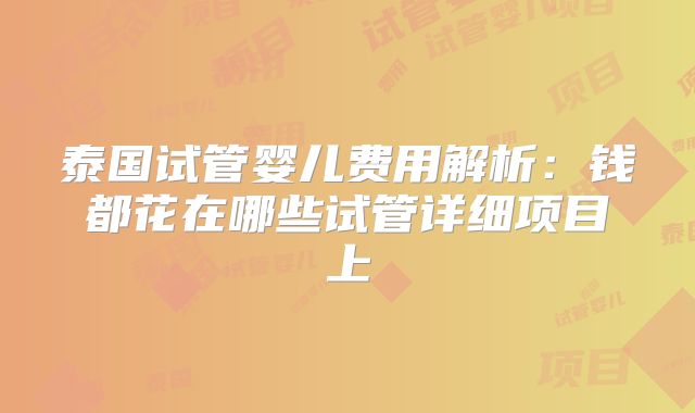 泰国试管婴儿费用解析：钱都花在哪些试管详细项目上
