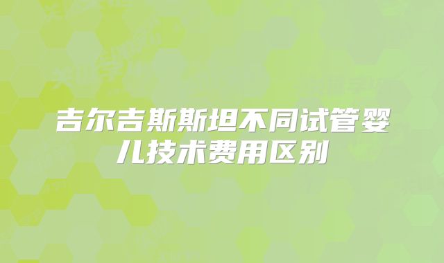 吉尔吉斯斯坦不同试管婴儿技术费用区别