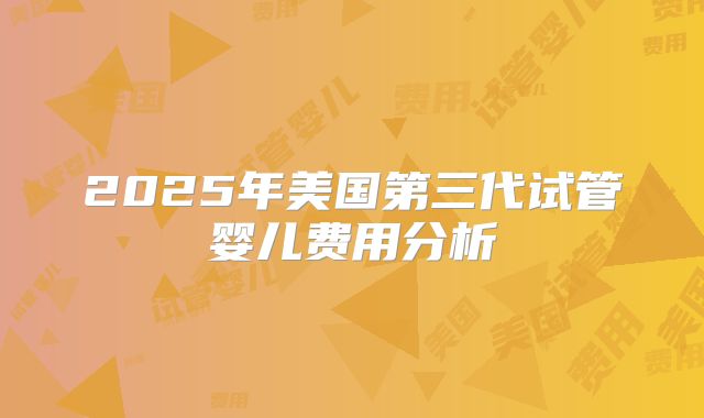 2025年美国第三代试管婴儿费用分析