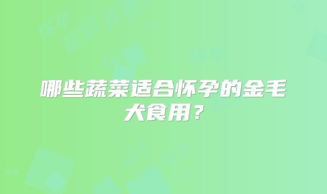 哪些蔬菜适合怀孕的金毛犬食用？
