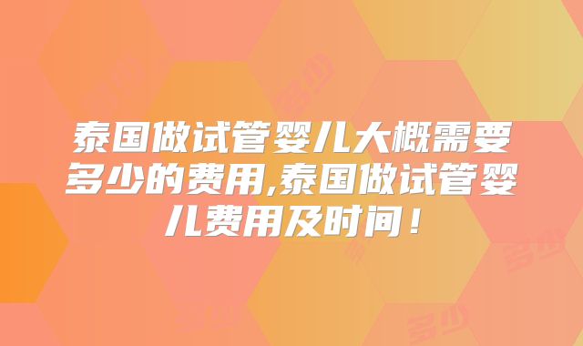 泰国做试管婴儿大概需要多少的费用,泰国做试管婴儿费用及时间！