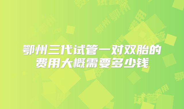 鄂州三代试管一对双胎的费用大概需要多少钱