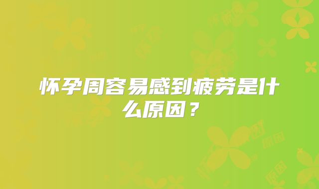 怀孕周容易感到疲劳是什么原因?