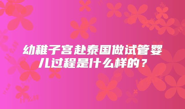 幼稚子宫赴泰国做试管婴儿过程是什么样的？