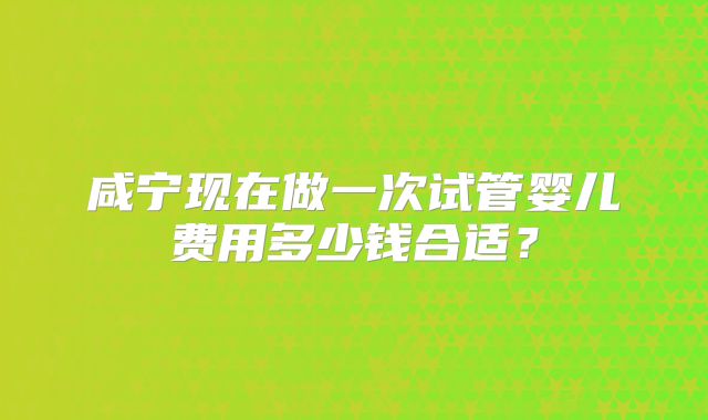 咸宁现在做一次试管婴儿费用多少钱合适？