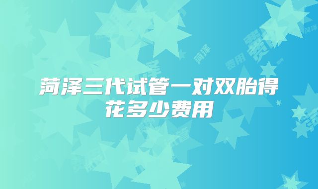 菏泽三代试管一对双胎得花多少费用