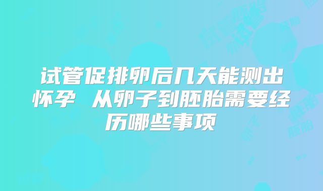 试管促排卵后几天能测出怀孕 从卵子到胚胎需要经历哪些事项