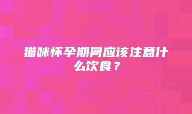 猫咪怀孕期间应该注意什么饮食？