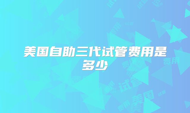 美国自助三代试管费用是多少