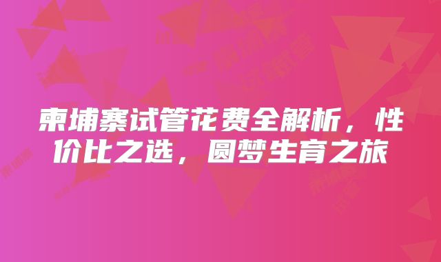 柬埔寨试管花费全解析,性价比之选,圆梦生育之旅