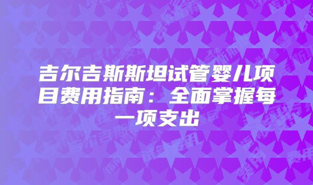吉尔吉斯斯坦试管婴儿项目费用指南：全面掌握每一项支出