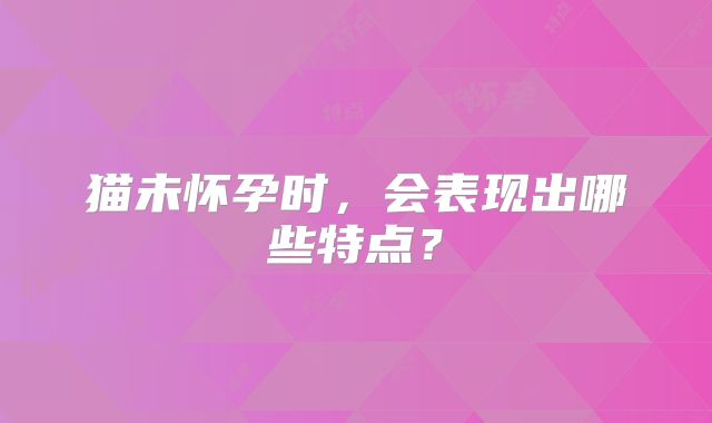 猫未怀孕时，会表现出哪些特点？