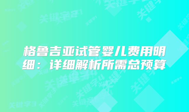 格鲁吉亚试管婴儿费用明细：详细解析所需总预算