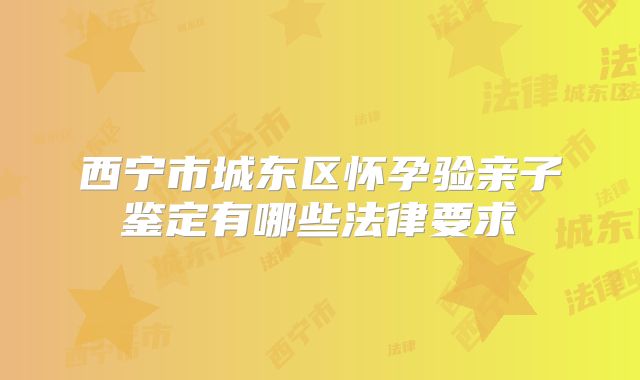西宁市城东区怀孕验亲子鉴定有哪些法律要求