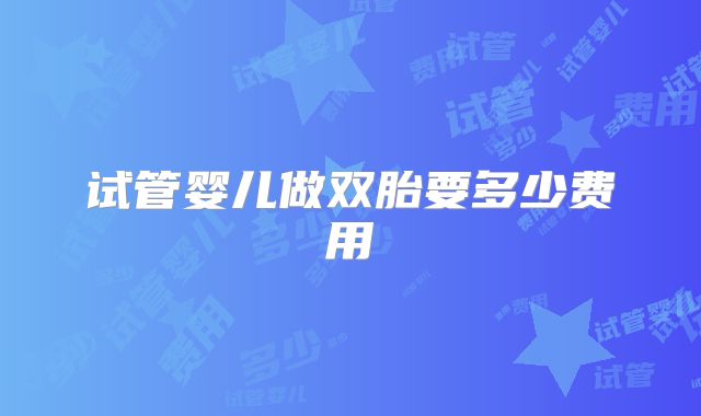 试管婴儿做双胎要多少费用