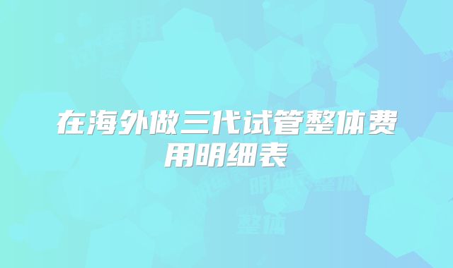 在海外做三代试管整体费用明细表