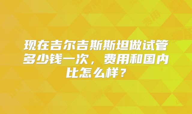 现在吉尔吉斯斯坦做试管多少钱一次，费用和国内比怎么样？