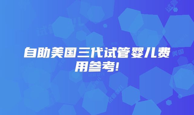 自助美国三代试管婴儿费用参考!