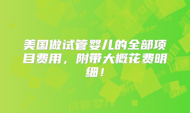 美国做试管婴儿的全部项目费用，附带大概花费明细！