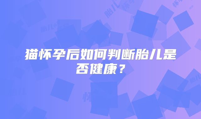 猫怀孕后如何判断胎儿是否健康？