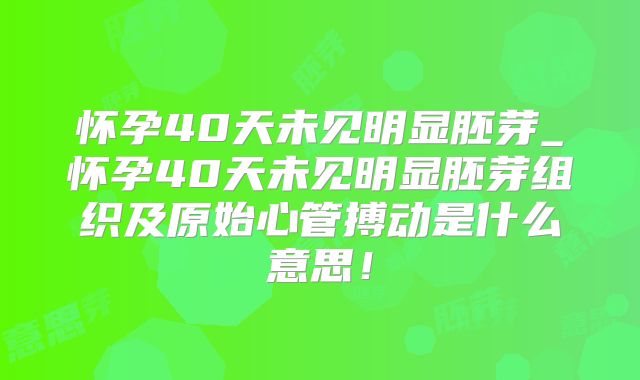 怀孕40天未见明显胚芽_怀孕40天未见明显胚芽组织及原始心管搏动是什么意思！
