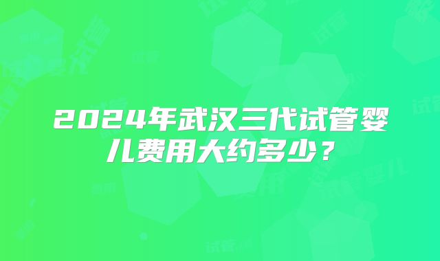 2024年武汉三代试管婴儿费用大约多少？