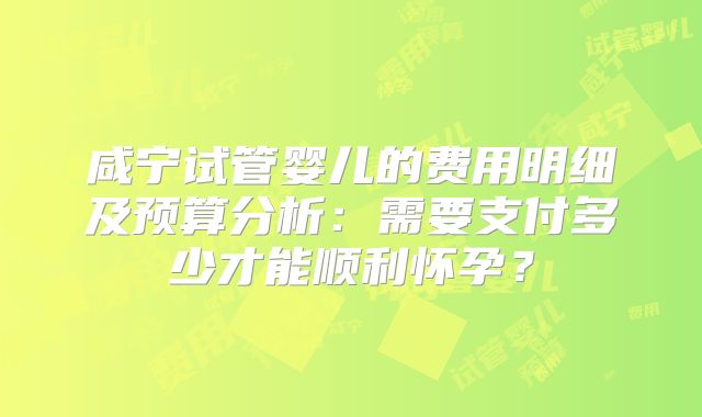 咸宁试管婴儿的费用明细及预算分析：需要支付多少才能顺利怀孕？