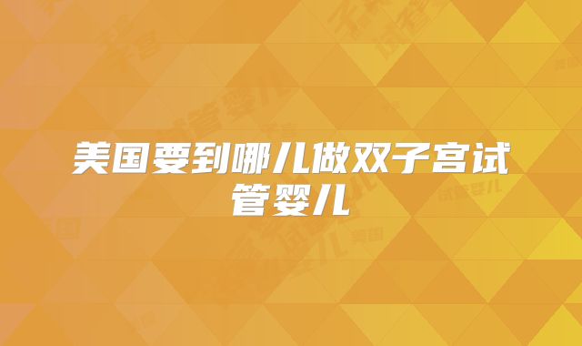 美国要到哪儿做双子宫试管婴儿