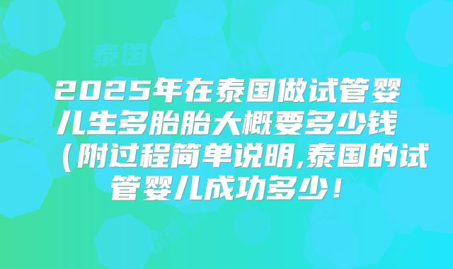 2025年在泰国做试管婴儿生多胎胎大概要多少钱（附过程简单说明,泰国的试管婴儿成功多少！