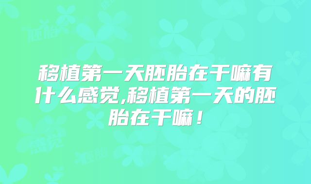 移植第一天胚胎在干嘛有什么感觉,移植第一天的胚胎在干嘛！