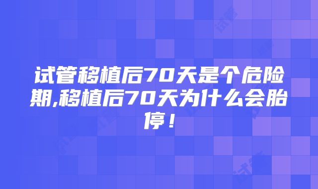 试管移植后70天是个危险期,移植后70天为什么会胎停！