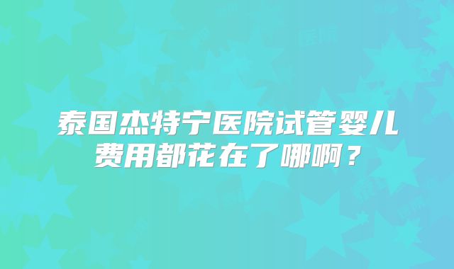 泰国杰特宁医院试管婴儿费用都花在了哪啊?