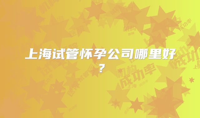 上海试管怀孕公司哪里好？