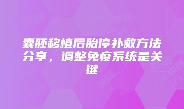 囊胚移植后胎停补救方法分享，调整免疫系统是关键