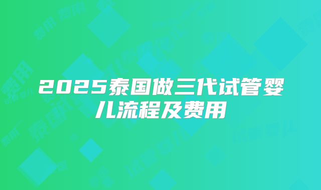 2025泰国做三代试管婴儿流程及费用