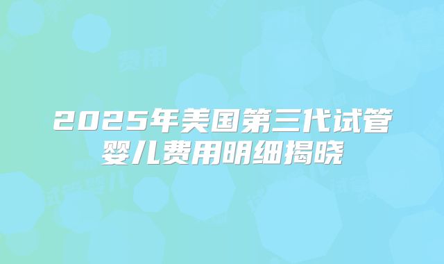 2025年美国第三代试管婴儿费用明细揭晓