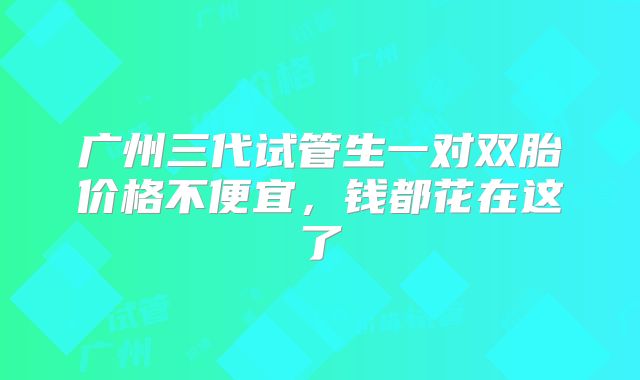 广州三代试管生一对双胎价格不便宜，钱都花在这了