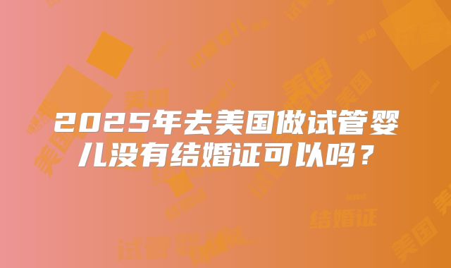 2025年去美国做试管婴儿没有结婚证可以吗？