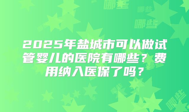 2025年盐城市可以做试管婴儿的医院有哪些？费用纳入医保了吗？